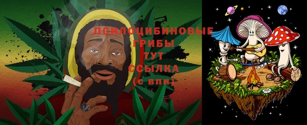 герыч Алексин