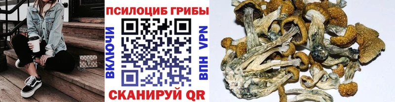 Галлюциногенные грибы Cubensis Амурск