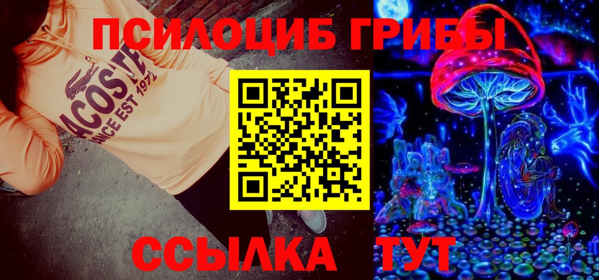 Галлюциногенные грибы Psilocybe Амурск